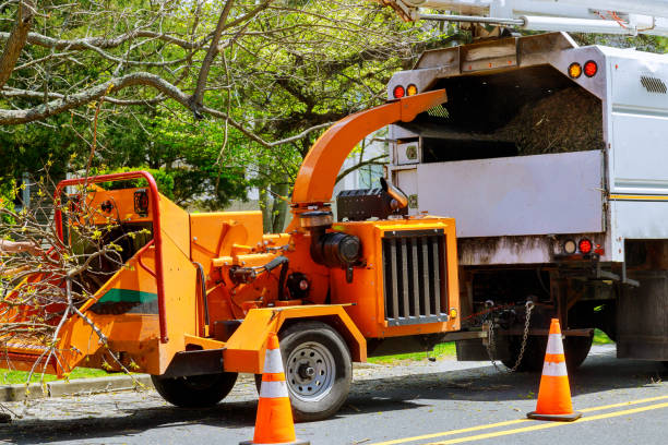 Best Tree and Shrub Care  in Bakerstown, PA